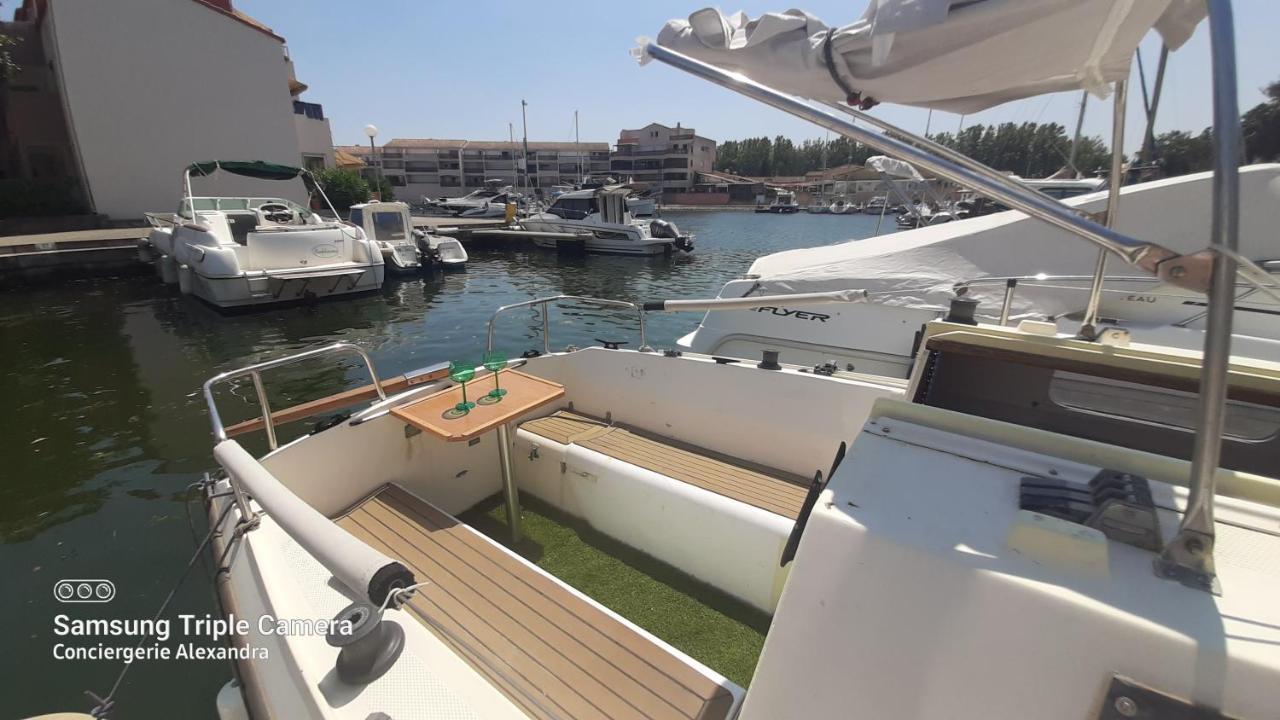 Nuit Insolite A Bord De L'Enata Un Voilier A Quai Sur La Marina De St Cyprien Saint-Cyprien  Εξωτερικό φωτογραφία